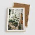 Plakat w ramie 50x70 - Sukulenty w Szklarni - sukulenty, w szklarni - rama drewno