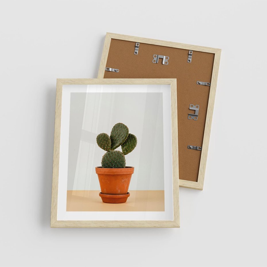 Plakat w ramie 40x50 - Kwiatowy taniec kaktusa - kaktus, kwiat - rama drewno