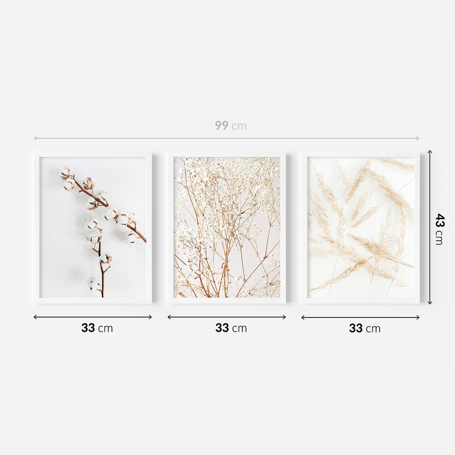 Zestaw obrazy w ramie 30x40 galeria - Suche, trawy, boho, styl - rama biała