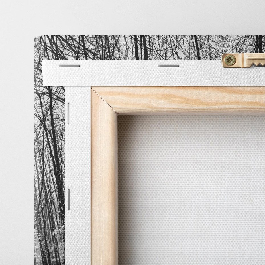 Obraz na płótnie 50x70 - Spadające Liście - czarno białe zdjecie, park