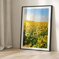 Plakat bez ramy 40x50 - Idylla na łące słoneczników - łąka, słoneczniki