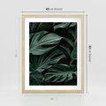 Plakat w ramie 40x50 - Zielone Liście Monstery w Dżungli - zielone liście monstery, dżungla - rama drewno