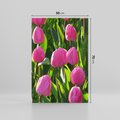 Obraz na płótnie 50x70 - Tulipanowa harmonia - tulipany, kwiaty