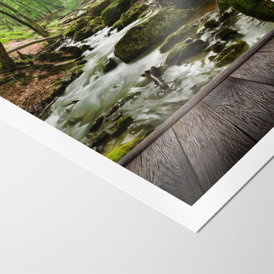 Plakat bez ramy 21x30 - Strumyk w lesie - strumyk, w lesie