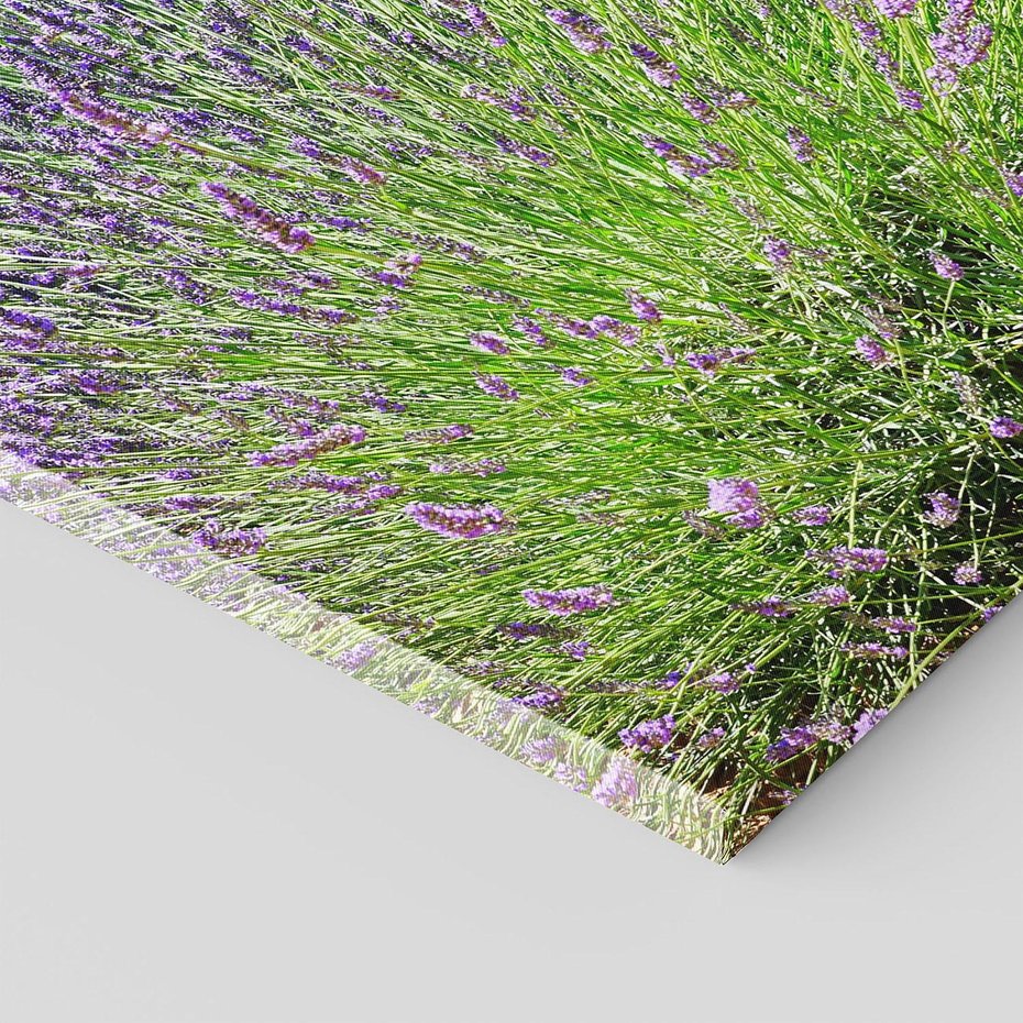 Obraz na płótnie 50x70 - Lawendowy kwiat - lawenda, kwiat