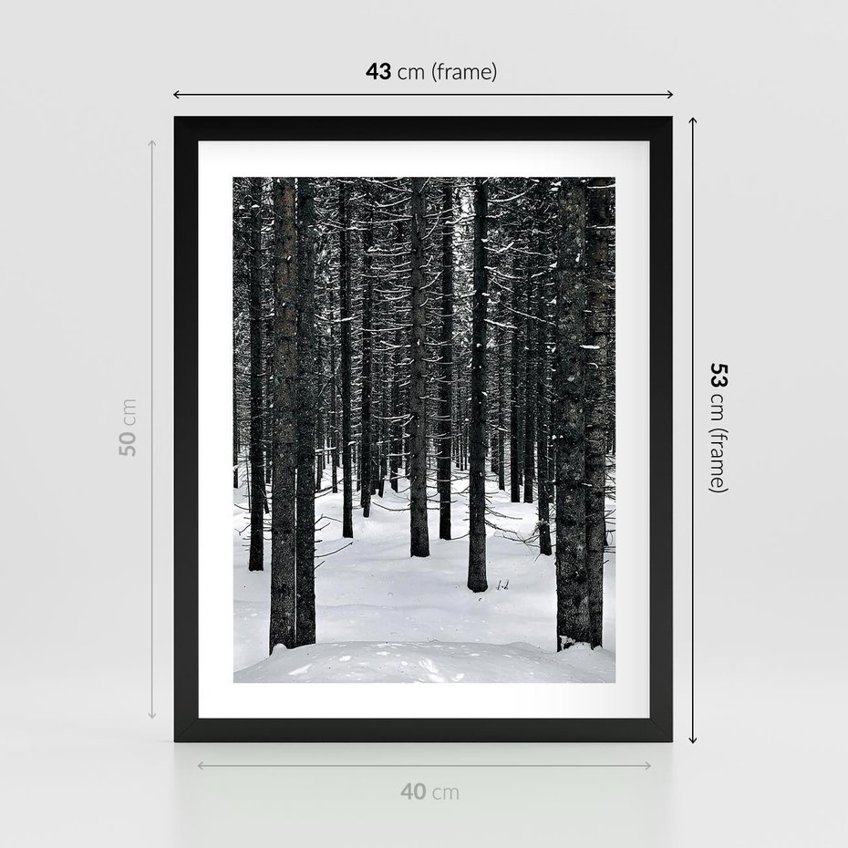 Plakat w ramie 40x50 - Zimowe Drzewa: Śnieg na Pniach - drzew w zimi, pnie drzew - rama czarna