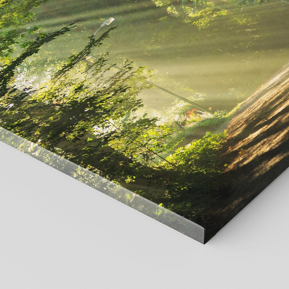 Obraz na płótnie 70x100 - harmonia natury - las, drzewa