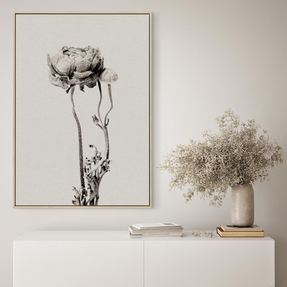 Obraz w ramie 80x120 - Cień Kwiatowej Delikatności - kwiat, cień - rama drewno