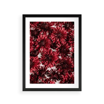 Plakat w ramie 40x50 - Energia Kwiatów - czerwone kwiaty, kompozycja - rama czarna