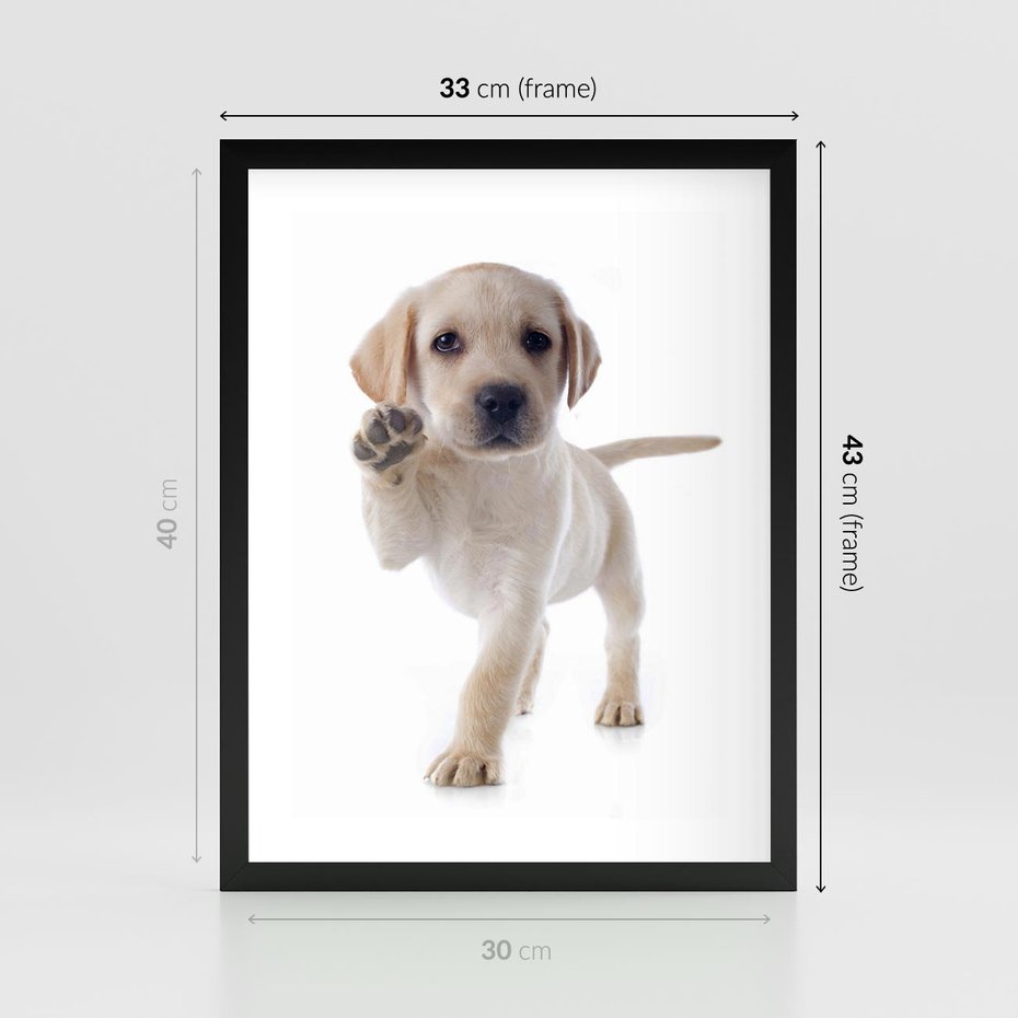 Plakat w ramie 30x40 - Szczeniak pełen radości - piesek, szczeniak - rama czarna