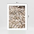 Plakat bez ramy 30x40 - Symfonia Natury - kompozycja z białych muszli