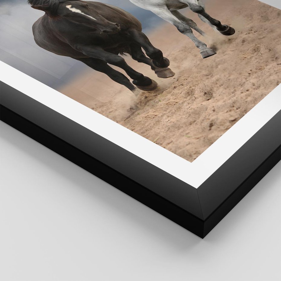 Plakat w ramie 50x70 - Siła koni w galopie - konie, galop - rama czarna