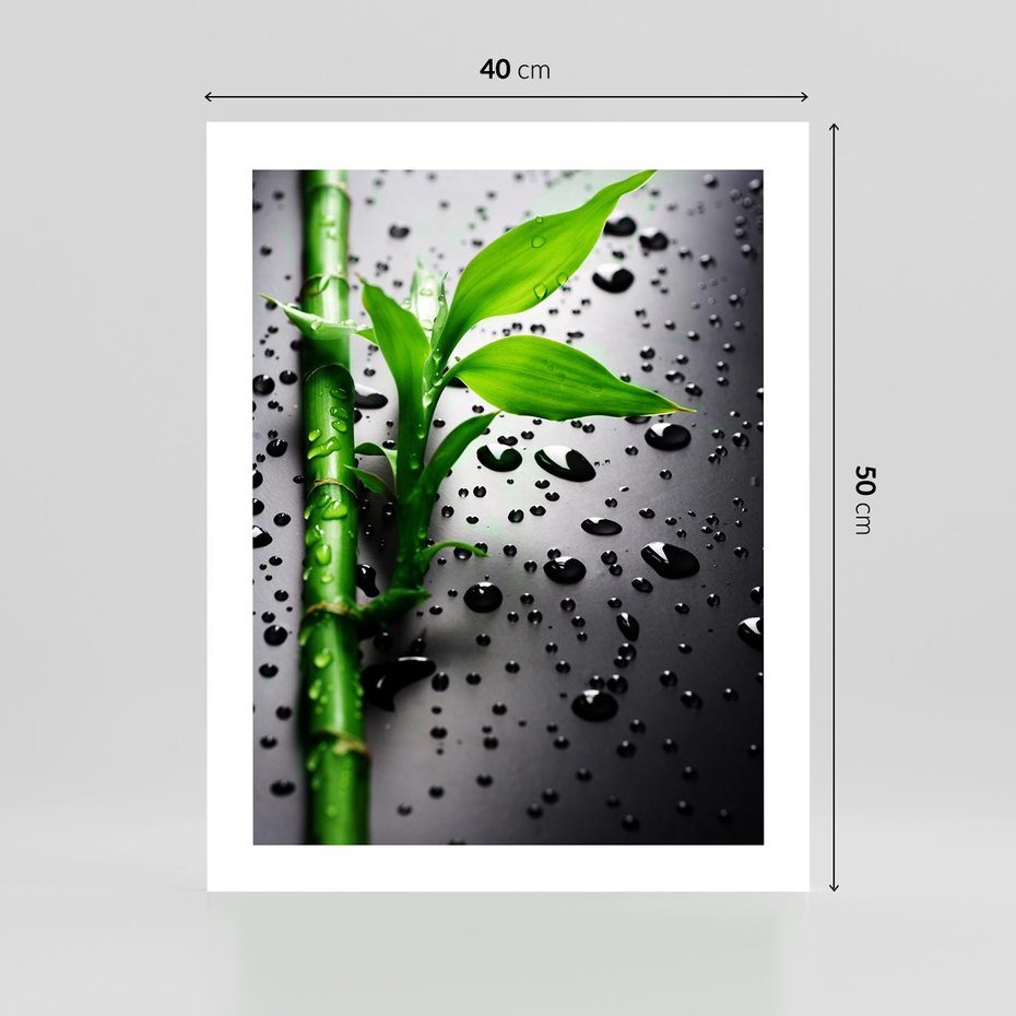 Plakat bez ramy 40x50 - Bambusowa Harmonia - bambus, liście