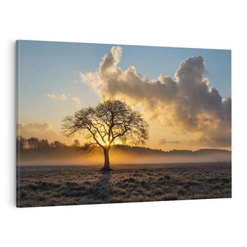 Obraz na płótnie 120x80 - Drzewo w mgle: Piękno jesiennego poranka - drzewo, mgła