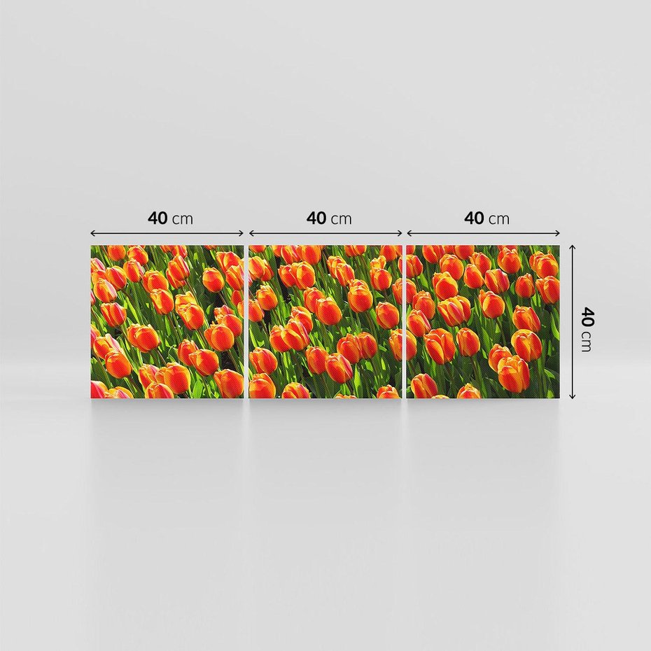 Obraz na płótnie 120x40 - Tulipanowa eksplozja - tulipany, kwiaty