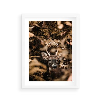 Plakat w ramie 30x40 - Jesienny Jeleń w Lesie - jeleń, w lesie - rama biała