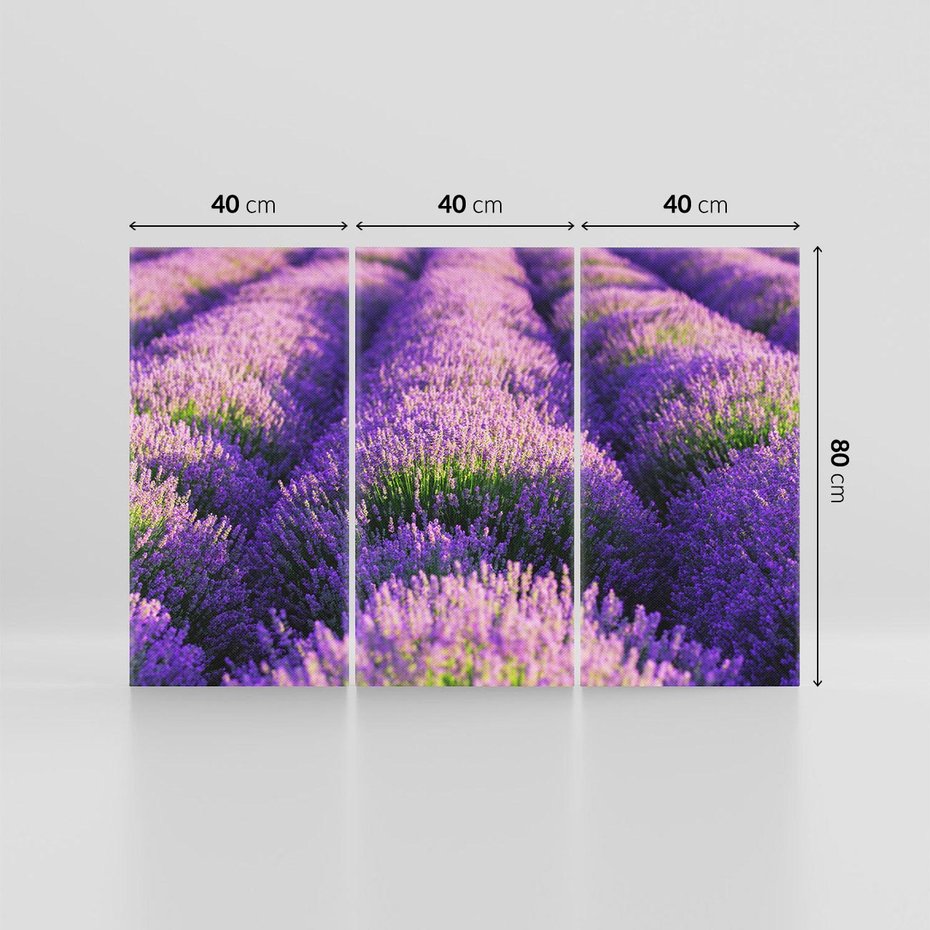 Obraz na płótnie 120x80 - Malownicze Pole Lawendy - lawenda, pole