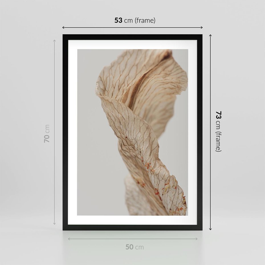 Plakat w ramie 50x70 - Suszone piękno - susz, suche - rama czarna