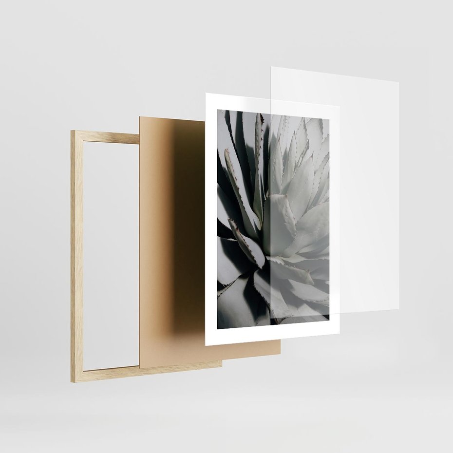 Plakat w ramie 30x40 - Sukulenty wśród kaktusów - sukulenty, kaktusy - rama drewno