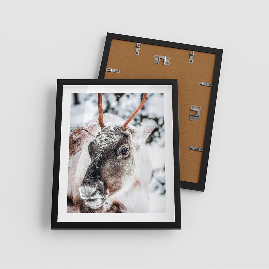 Plakat w ramie 40x50 - Renifer w Zimowej Krainie - renifer, zima - rama czarna