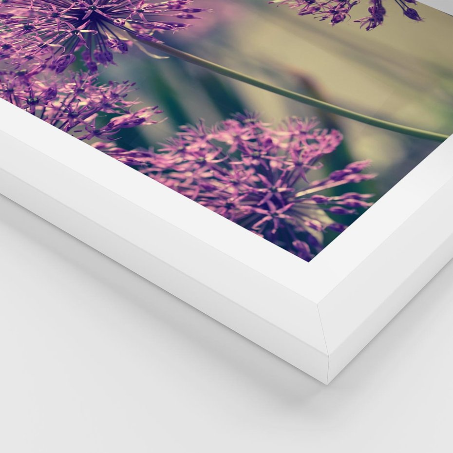 Plakat w ramie 30x40 - Kwiatowa łąka w pełnym rozkwicie - kwiaty, łąka - rama biała