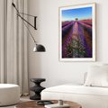 Plakat w ramie 50x70 - Fioletowa Magia - pole, lawendy - rama drewno