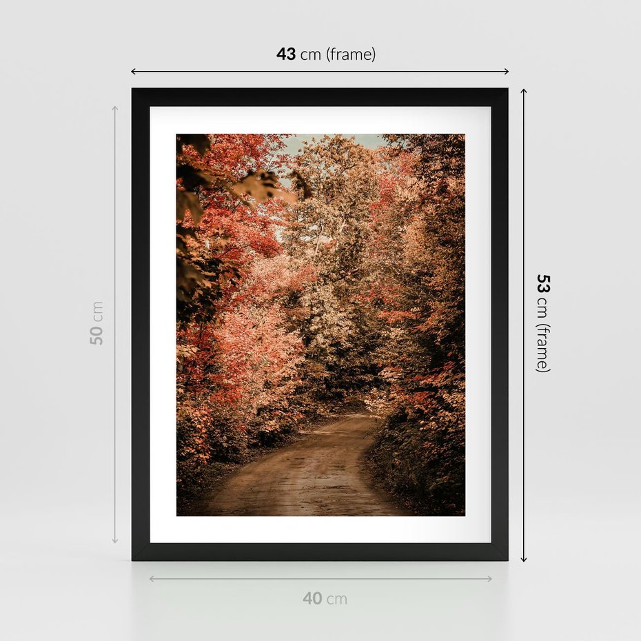 Plakat w ramie 40x50 - Obraz przedstawia jesienne drzewa i czerwone liście na ścieżce w lesie. Ta sceneria doskonale oddaje urok i kolorystykę jesieni w lesie. - las, jesień - rama czarna