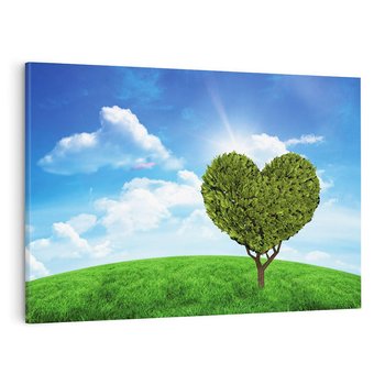 Obraz na płótnie 70x50 - Drzewo sercem nieba - drzewo, serce