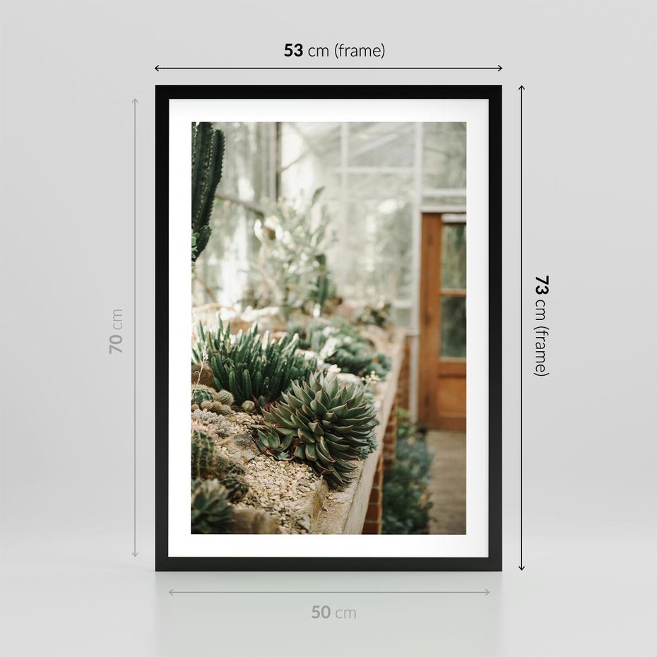 Plakat w ramie 50x70 - Sukulenty w Szklarni - sukulenty, w szklarni - rama czarna