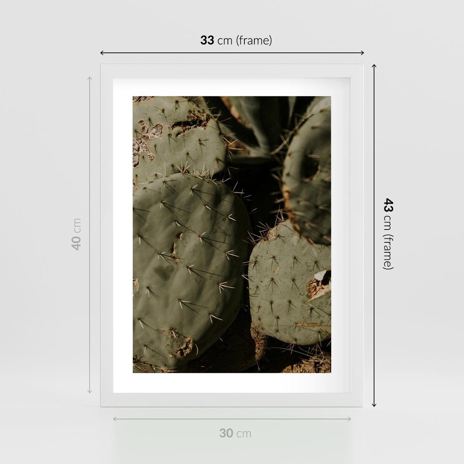 Plakat w ramie 30x40 - Urok Egzotyki - kaktusy, boho - rama biała