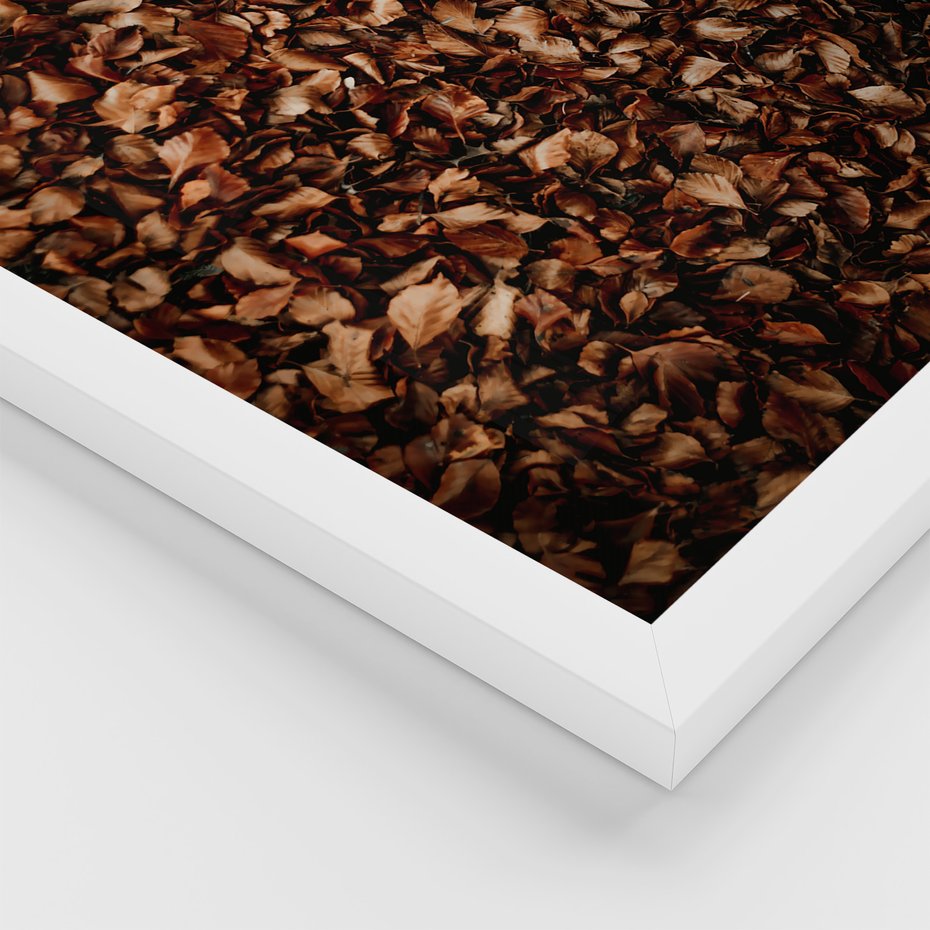 Zestaw obrazy w ramie 50x70 galeria - Jesień, ścieżka, klimatyczna - rama biała