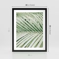 Plakat w ramie 40x50 - Liście Palmy: Egzotyczna Grafika - palma, liście palmy - rama czarna