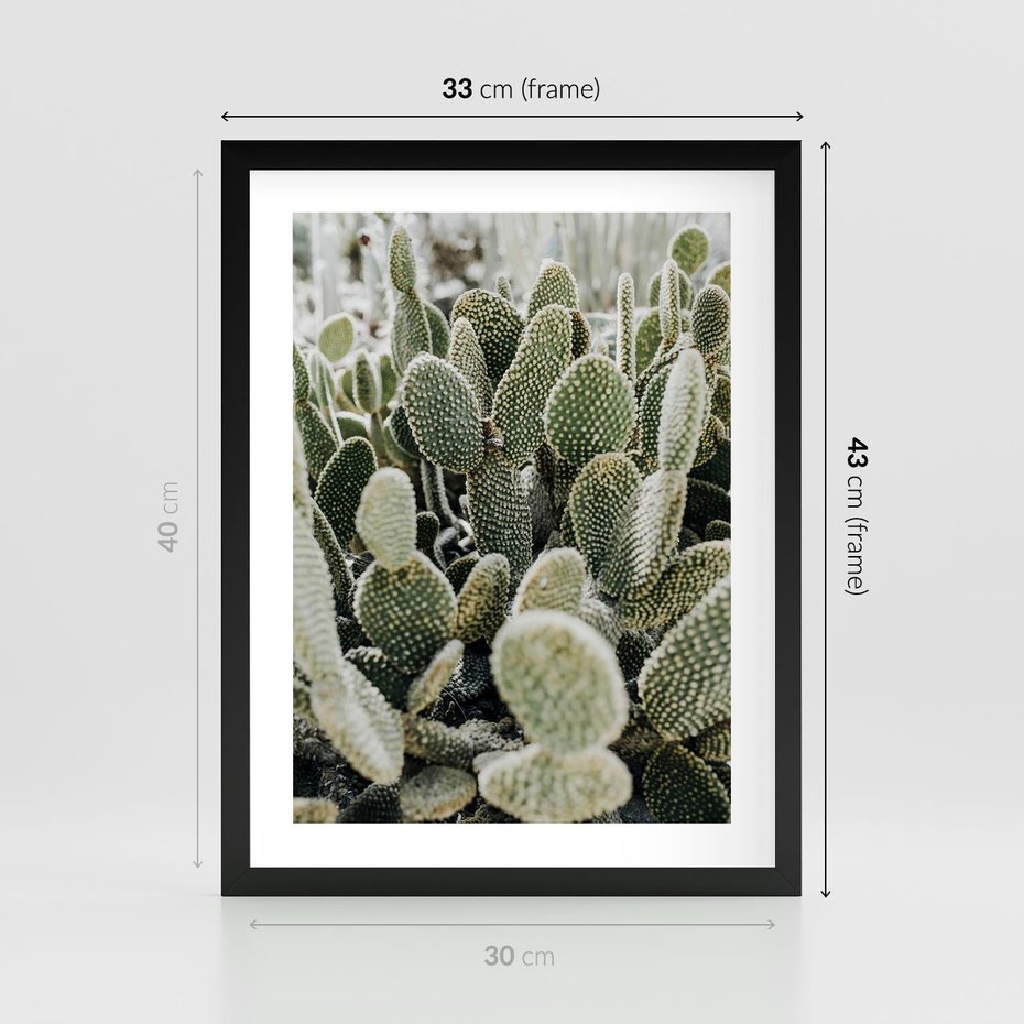 Plakat w ramie 30x40 - Kaktusowa Harmonia - kaktusy, fotografia - rama czarna