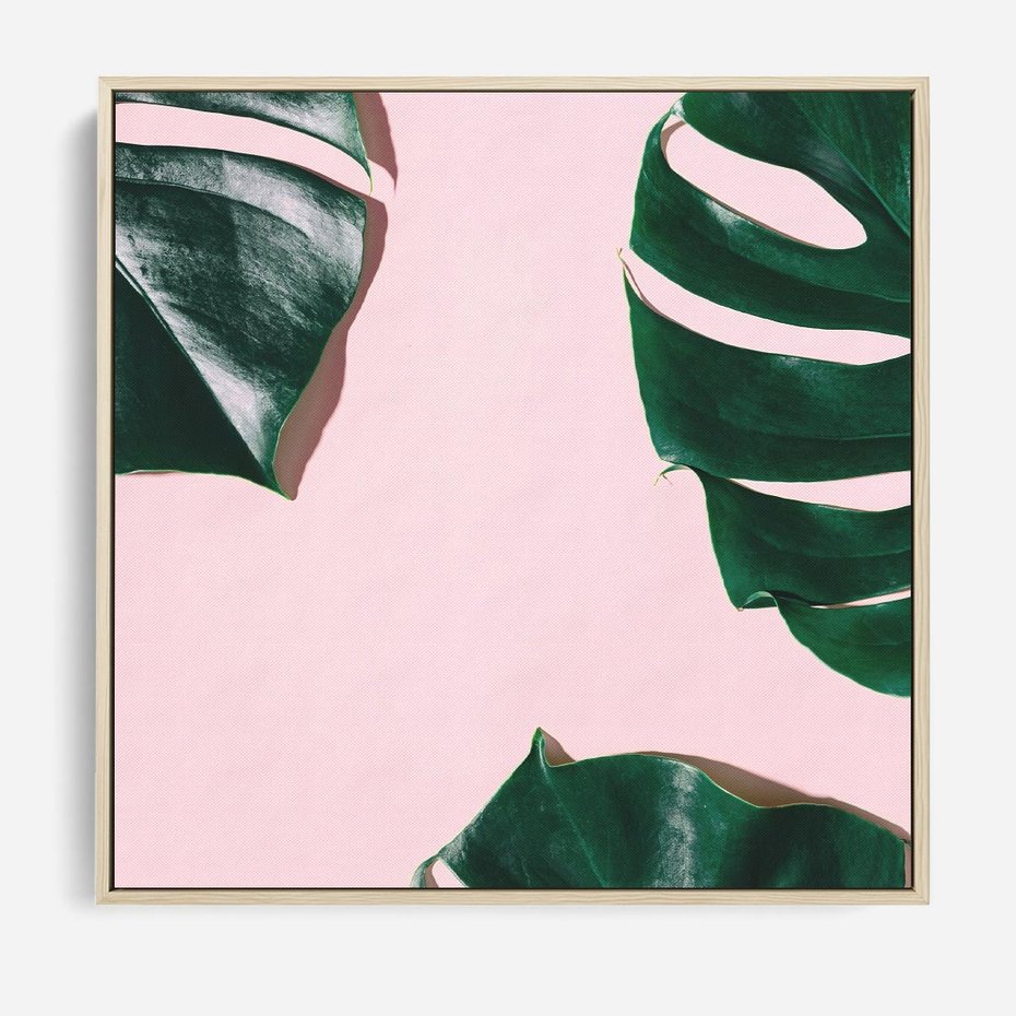 Obraz w ramie 50x50 - Siła Natury - liście, monstera - rama drewno