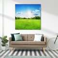 Obraz na płótnie 80x80 - Idylla na łące drzew - łąka, drzewa
