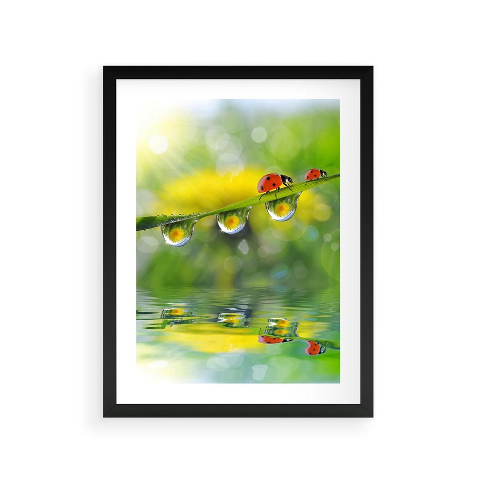 Plakat w ramie 30x40 - Deszczowa Biedronka - biedronka, deszcz - rama czarna