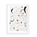 Plakat w ramie 50x70 - Kompozycja z Piór - pióra, kompozycja - rama biała