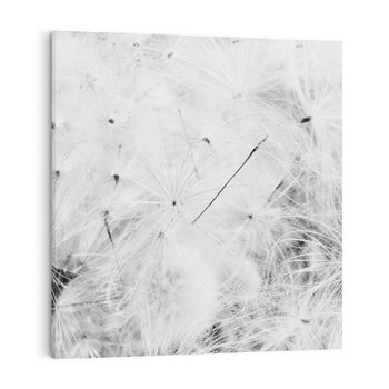 Obraz na płótnie 40x40 - Zdmuchnięty Puch - dmuchawce, delikatne