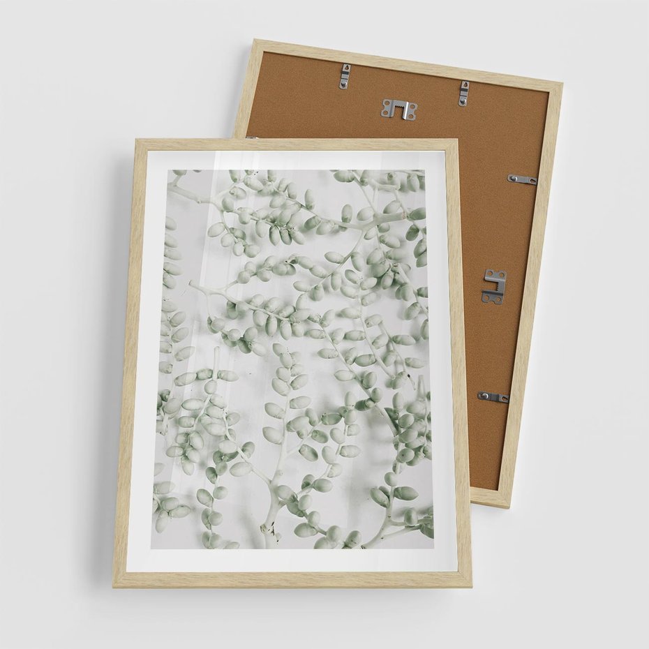 Plakat w ramie 50x70 - Delikatność Zieleni - zielone gałązki, listki - rama drewno