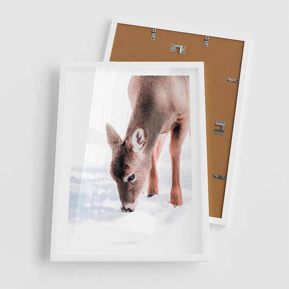 Plakat w ramie 50x70 - Sarna w Zimowym Raju - sarna, na śniegu - rama biała