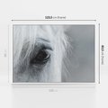 Obraz w ramie 120x80 - Oko Mocy - czarno białe zdjęcie, zbliżenie makro na oko konia - rama biała