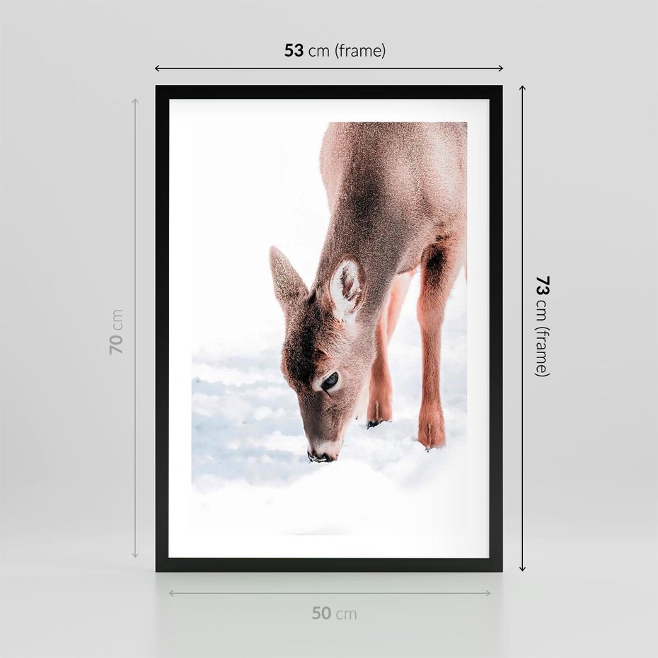 Plakat w ramie 50x70 - Sarna w Zimowym Raju - sarna, na śniegu - rama czarna