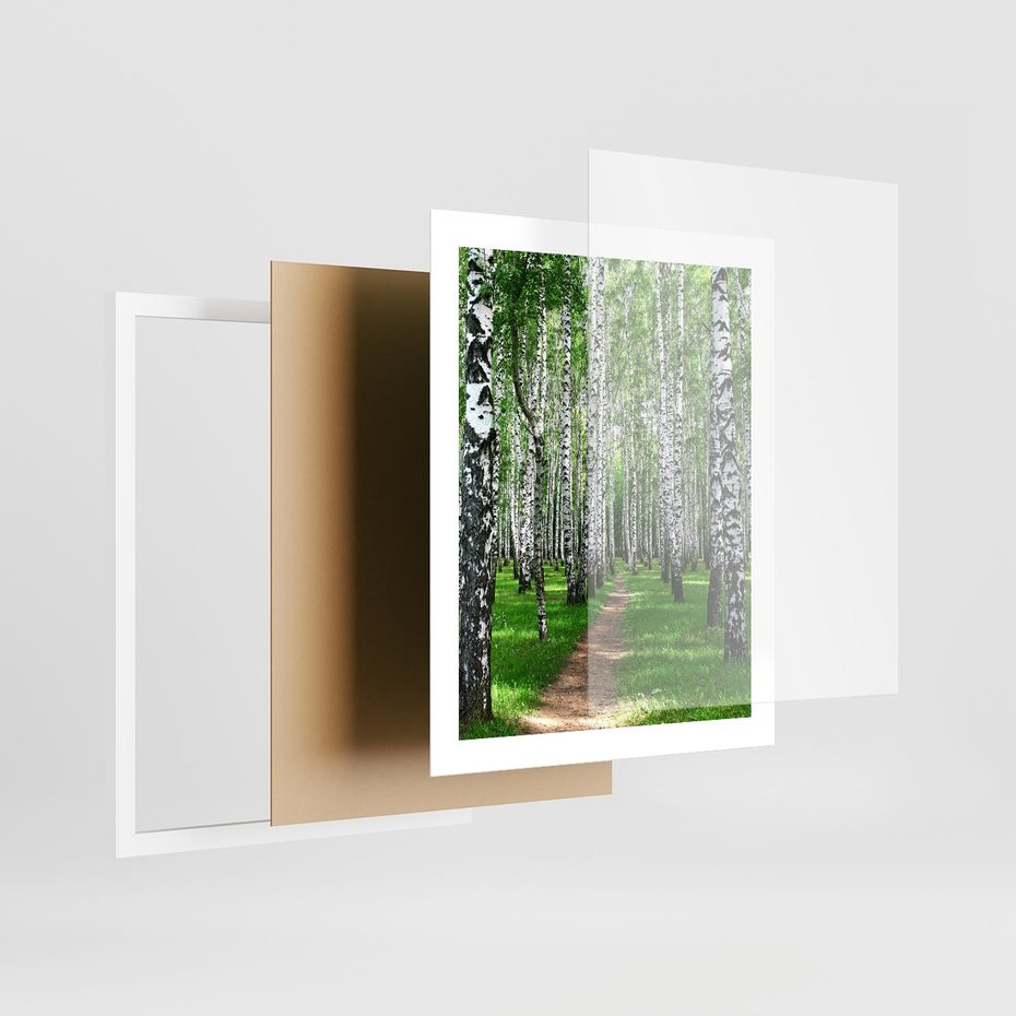 Plakat w ramie 40x50 - Bajkowy las pełen brzóz - las, brzozy - rama biała