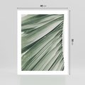 Plakat bez ramy 40x50 - Tropikalna Oaza - zielony liść palmy, zieleń
