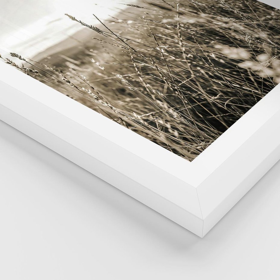 Plakat w ramie 30x40 - Łąka w Klimacie Sepii - suche trawy, łąka - rama biała
