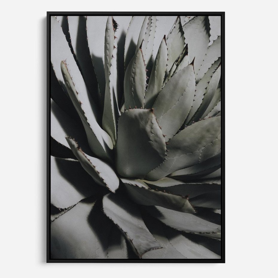 Obraz w ramie 50x70 - Sukulenty wśród kaktusów - sukulenty, kaktusy - rama czarna