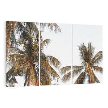 Obraz na płótnie 120x80 - Palmy - tęsknota za Hawajami - palmy, Hawaje