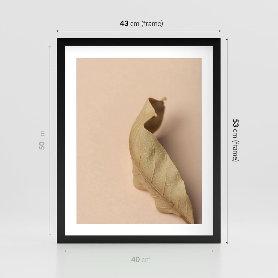 Plakat w ramie 40x50 - Boho suszone liście - suszony, liść - rama czarna