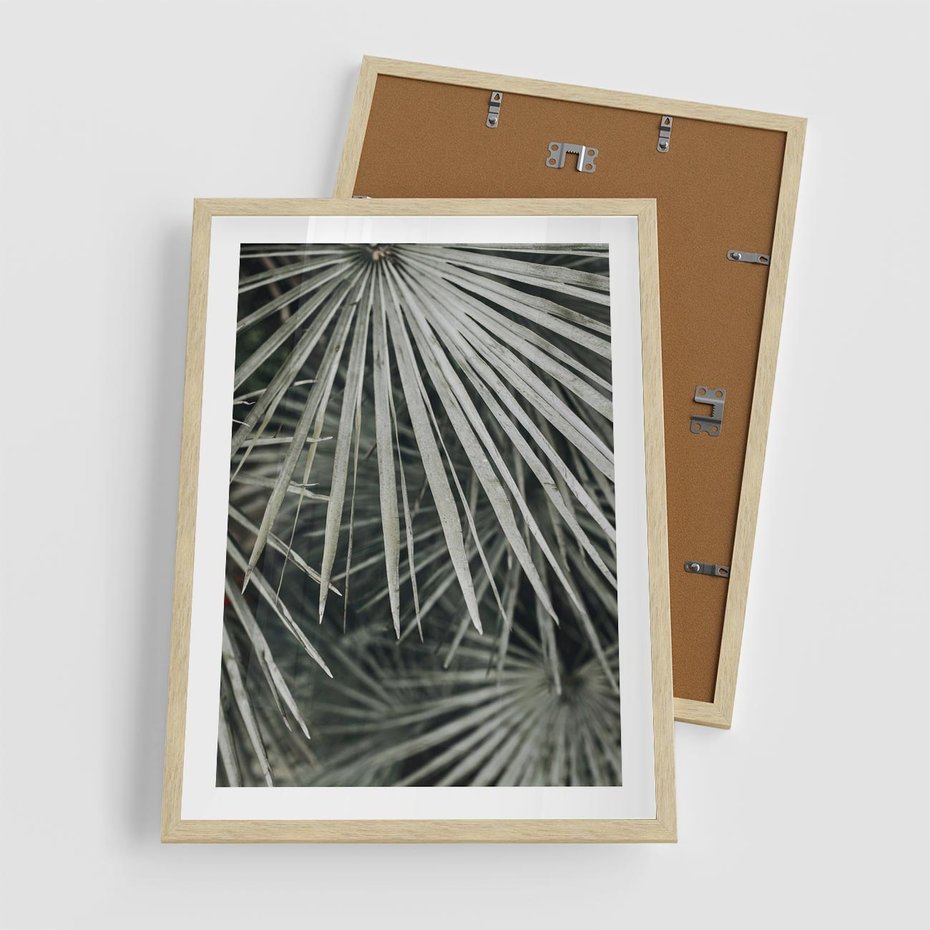 Plakat w ramie 50x70 - Ujęcie Tropikalnej Natury - palmy, liście palmy - rama drewno