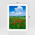 Plakat bez ramy 30x40 - Kolorowa łąka pełna maku - łąka, maki